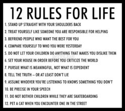 12 rules for life jordan peterson