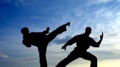 Martial Arts and Self-Defence