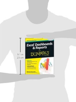 Excel Dashboards and Reports For Dummies, 2nd Edition (For Dummies Computers) Digital Paperback