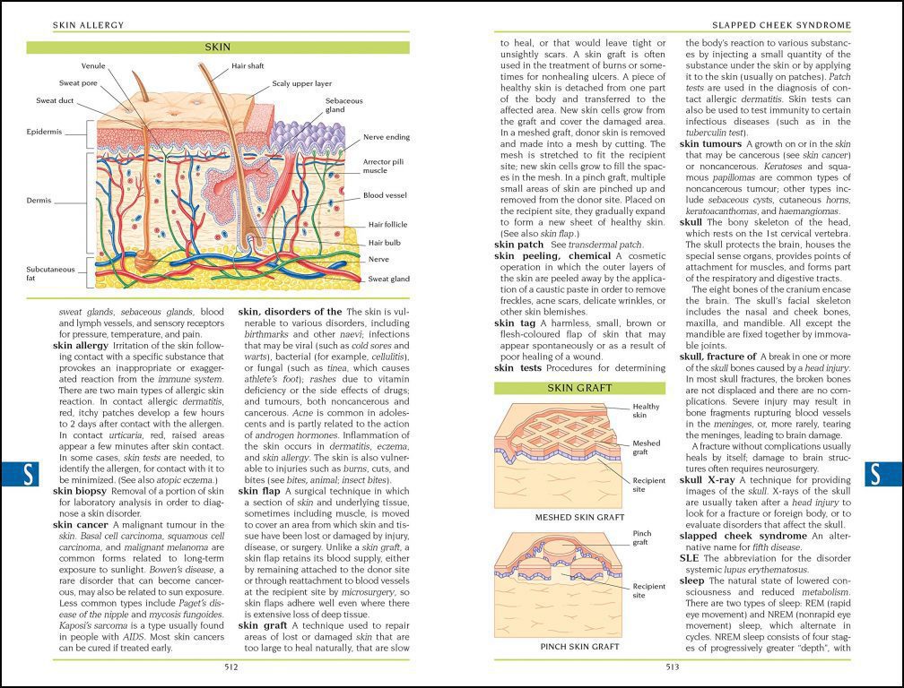 BMA Illustrated Medical Dictionary 2013 Buy