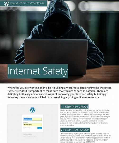 Internet Safety WordPress 2019