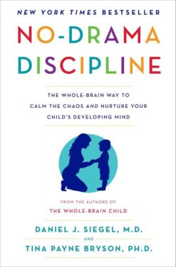 No-Drama Discipline ebook