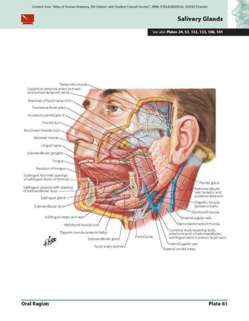 Atlas Of Human Anatomy Ebook Frank H Netter Books For 