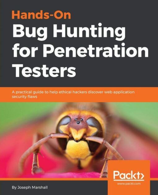 Hands-On Bug Hunting for Penetration Testers