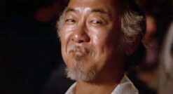 Mr. Miyagi would be very disappointed in you