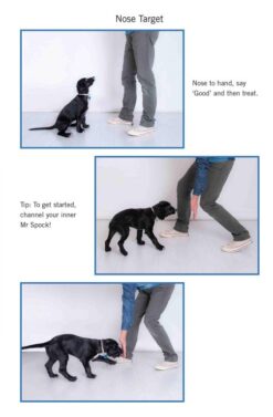 Easy-Peasy-Puppy-Squeezy-Steve-Mann-Puppy-Training-Kindle-Edition