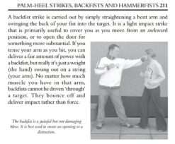 PALM-HEEL STRIKES, BACK FISTS AND HAMMER FISTS