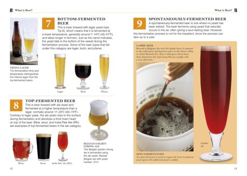 101 Essential Tips Home Brewing eBook