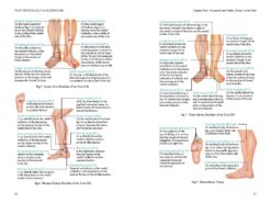 Foot Reflexology & Acupressure rheumatism