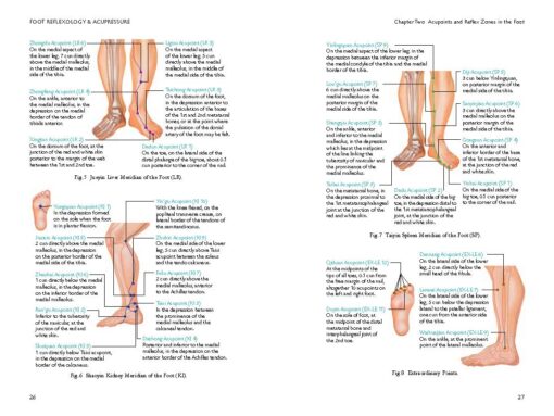 Foot Reflexology & Acupressure rheumatism