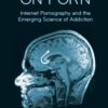 Your Brain on Porn - Gary Wilson eBook