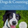 One Hundred Dogs and Counting - Cara Sue Achterberg eBook