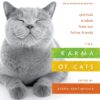 The Karma of Cats - Various Authors eBook